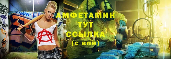 дмт Алексин