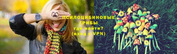 кокс Алзамай