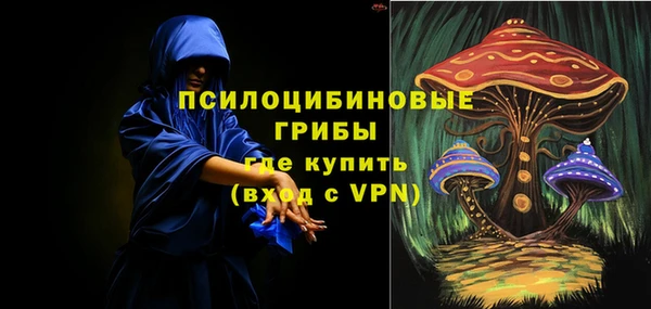 стафф Володарск